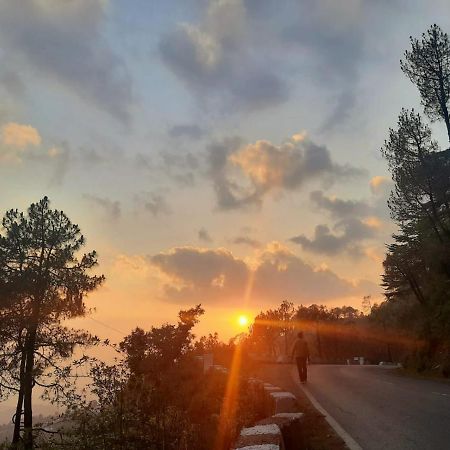 Him Aashrey B&B Homestay Shimla Extérieur photo